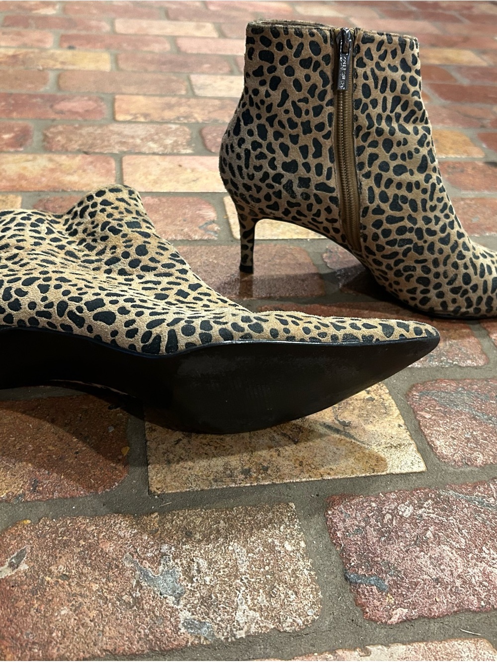 Colin Stuart Leopard Print Pointed Toe Ankle Booties - Tan & Black - Picture 3 of 4